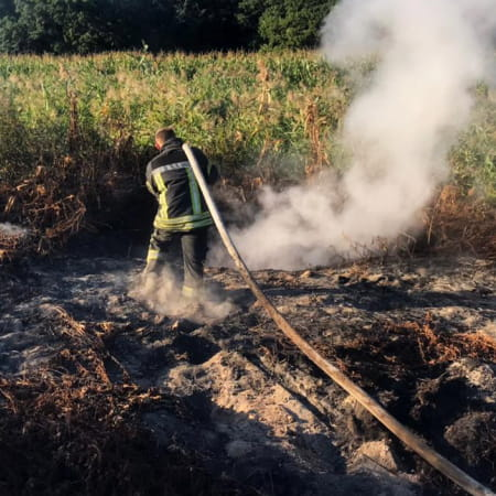 Станом на 5 вересня триває ліквідація торф’яних пожеж у Вишгородському та Броварському районах
