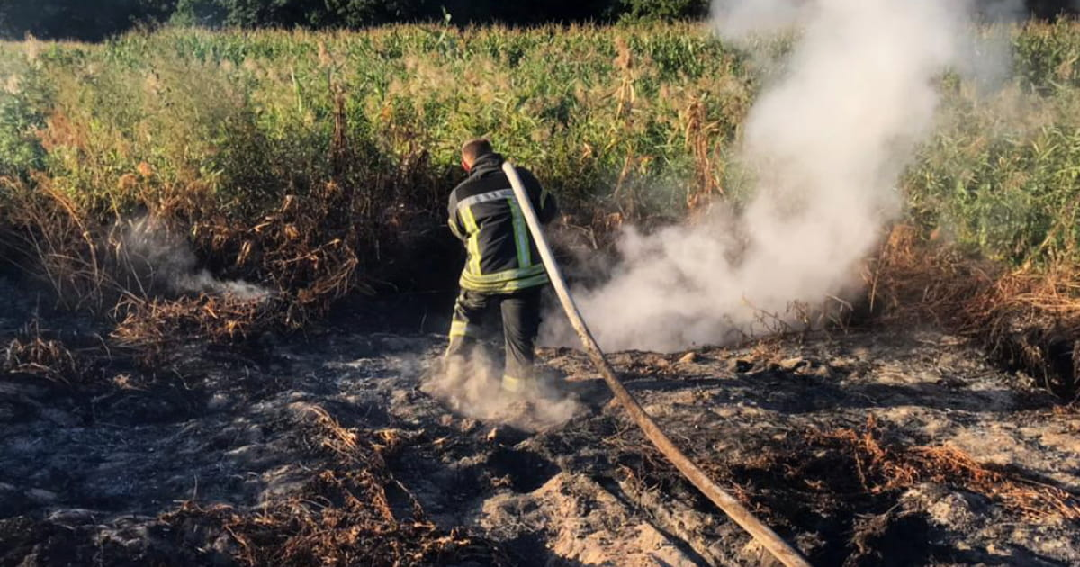 Станом на 5 вересня триває ліквідація торф’яних пожеж у Вишгородському та Броварському районах