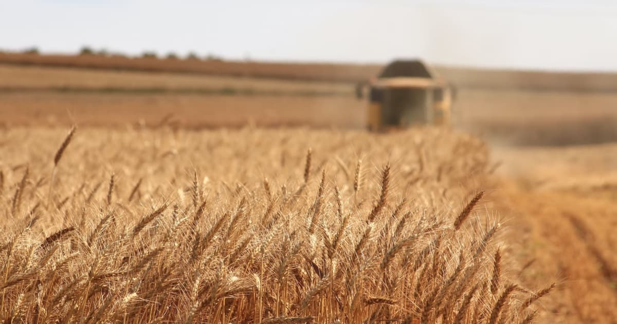 Очільник МЗС України пообіцяв збільшити експорт зерна до Африки