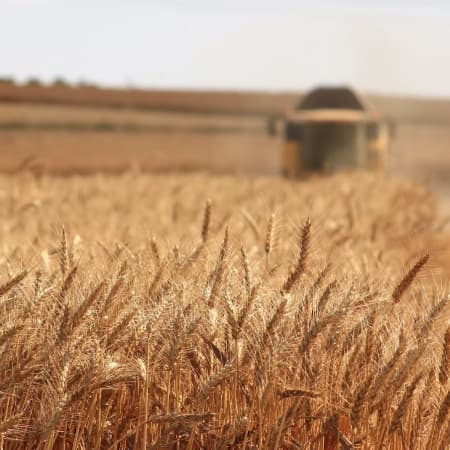 Ukrainian Foreign Minister promised to increase grain exports to Africa