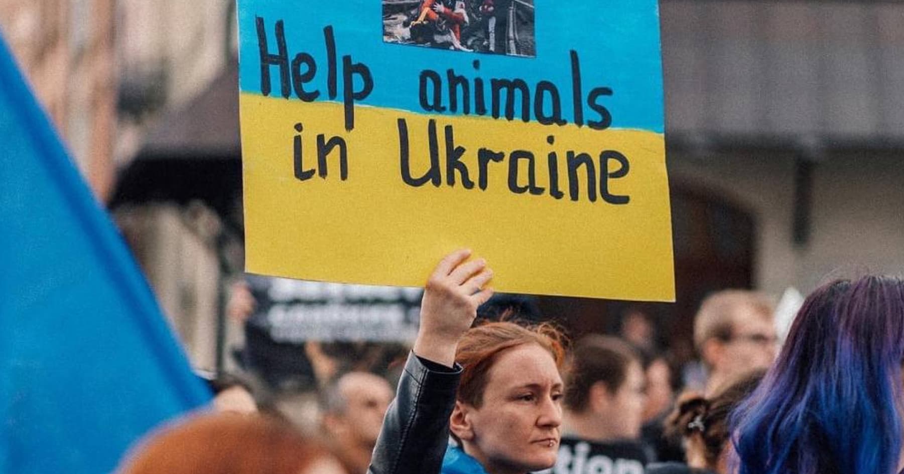 Організація UAnimals у Варшаві провела марш з порятунку тварин від війни в Україні