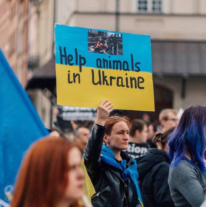 Організація UAnimals у Варшаві провела марш з порятунку тварин від війни в Україні