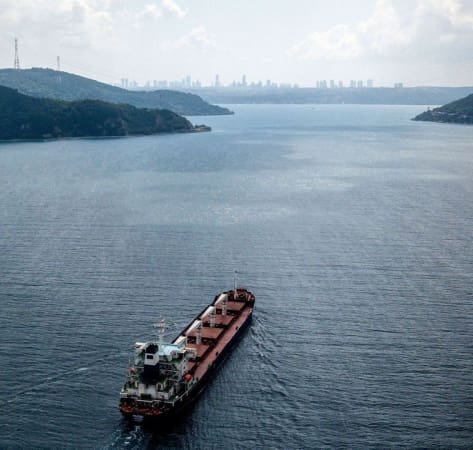 175 ships are waiting for passage through the Bosporus due to Russia's blocking of the "grain corridor" - Zelenskyy