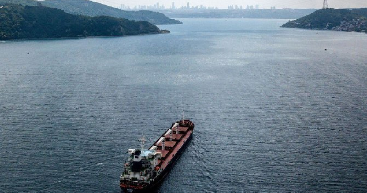 175 ships are waiting for passage through the Bosporus due to Russia's blocking of the "grain corridor" - Zelenskyy