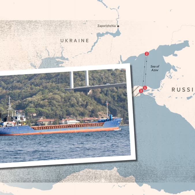 Financial Times показали схему торгівлі Росії вкраденим українським зерном із Запорізької області