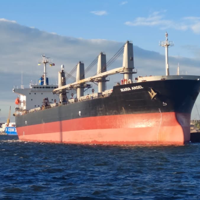 Експорт зерна з українських морських портів вимушено призупинений
