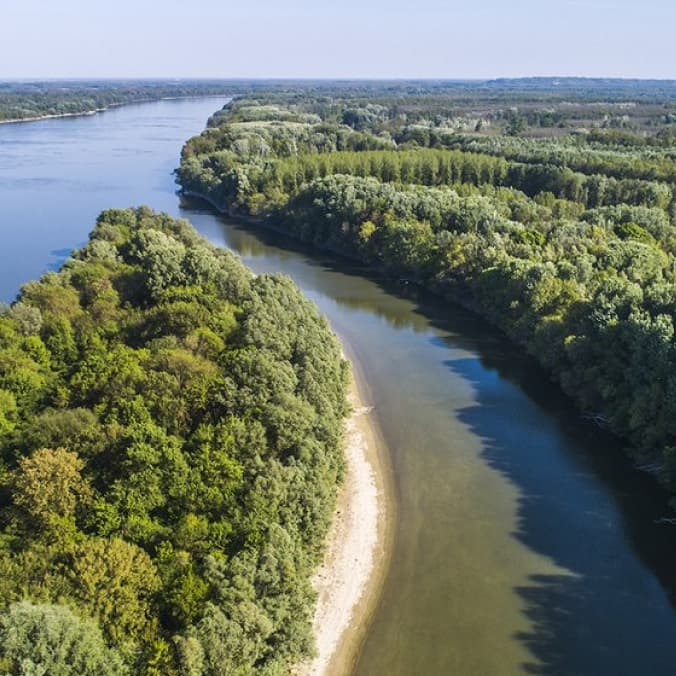 Урожай з портів Одещини почнуть вивозити «Дунайським зерновим шляхом»