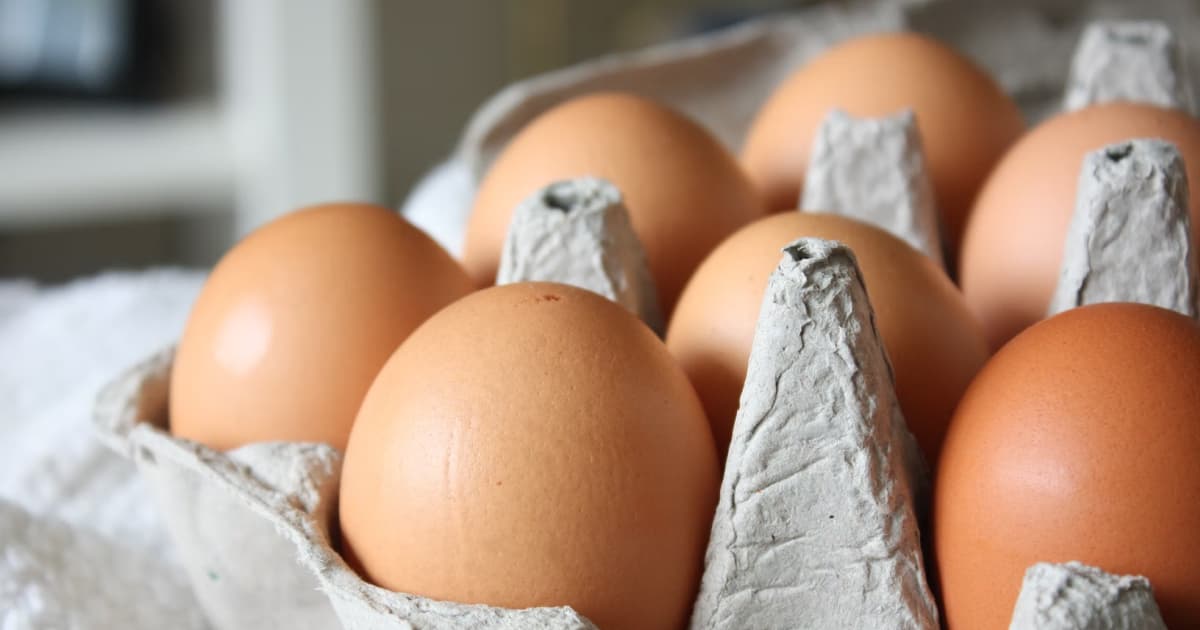 Мінагрополітики та Союз птахівників України домовилися стабілізувати ціни на курячі яйця