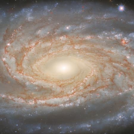 Телескоп Габбл зробив фото нової галактики в сузір’ї «Індіанець»
