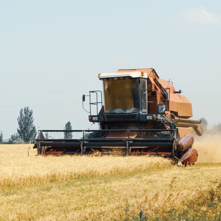 Фінляндія допоможе Україні транспортувати українське зерно до Сомалі