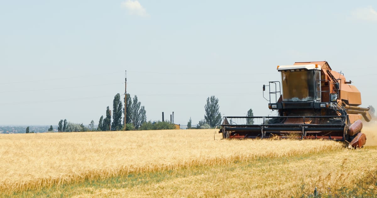 Фінляндія допоможе Україні транспортувати українське зерно до Сомалі