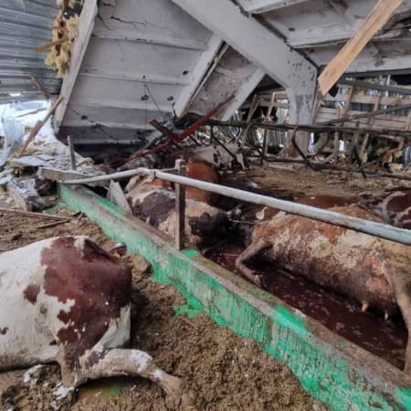 Збитки від загибелі тварин та пошкодження тваринницьких ферм вналсідок дій армії РФ становлять близько 2 млрд гривень
