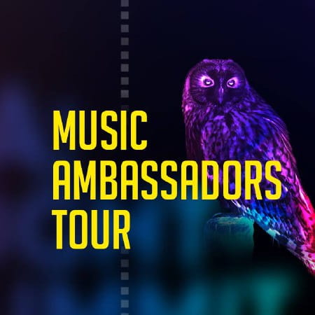В Україні відбудеться Music Ambassadors Tour за участі іноземних нічних мерів: проєкт відвідає південь та деокуповану Київщину