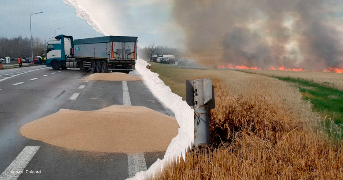 Польські фермери розсипали українське зерно на кордоні. Що відбувається та як відреагувала українська сторона?