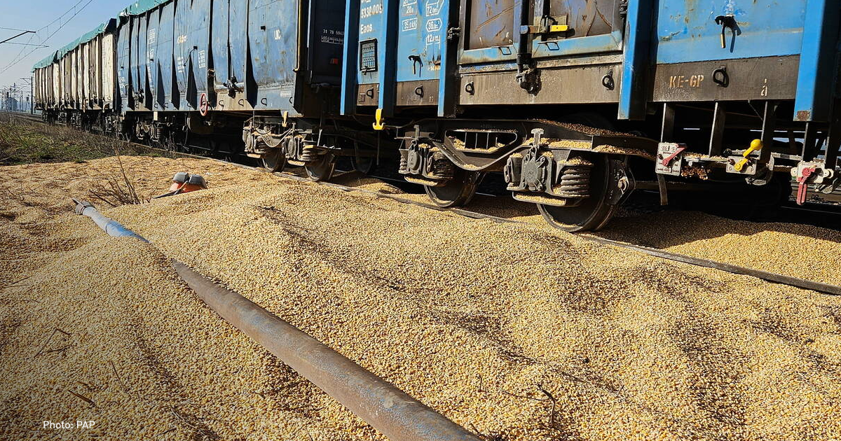 Poland disposes of 30 tonnes of Ukrainian corn dumped on tracks by protesters in Kotomierz