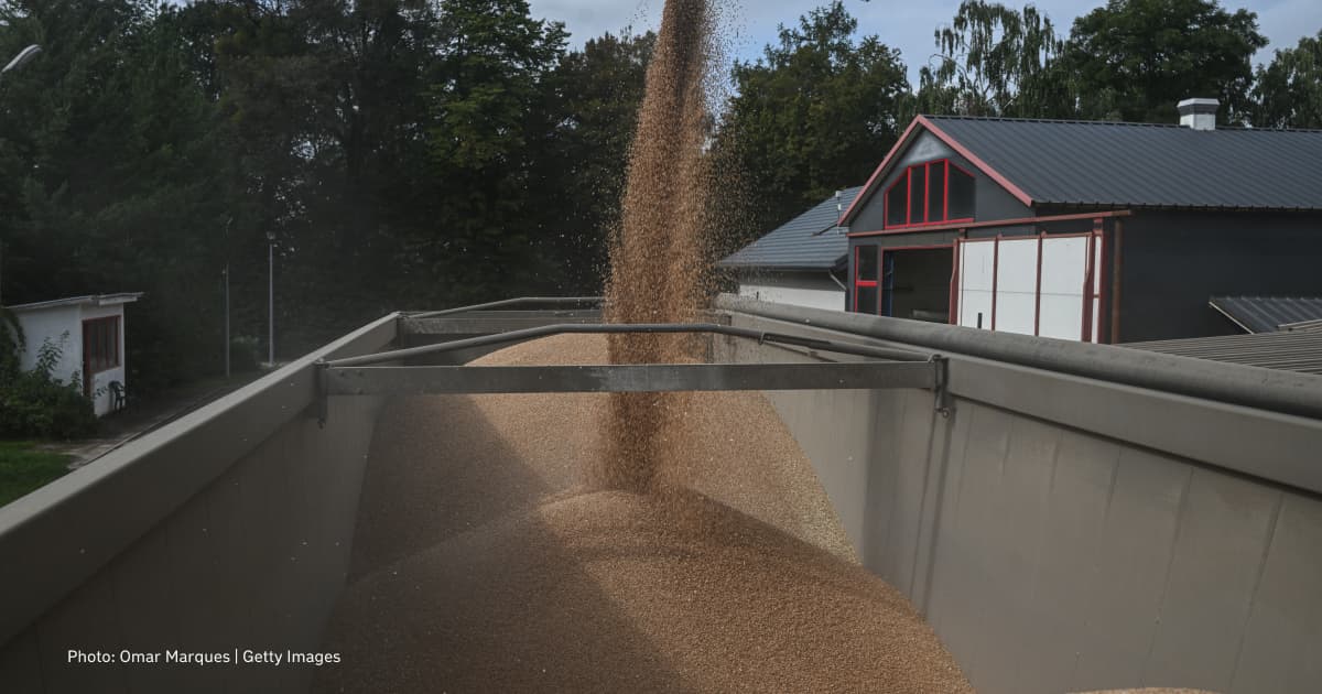 Lithuanian farmers face problems with Russian grain, not Ukrainian